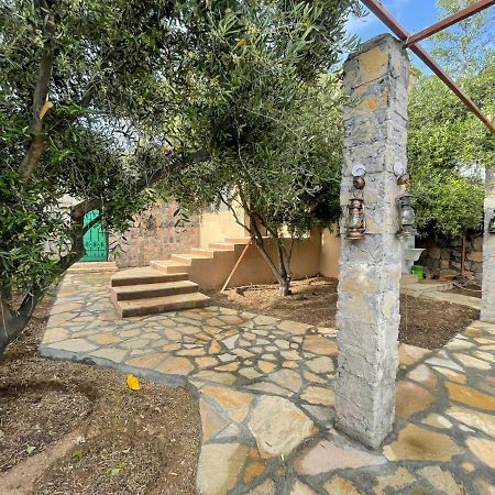 Rose Guesthouse Al 'Aqar Exteriör bild