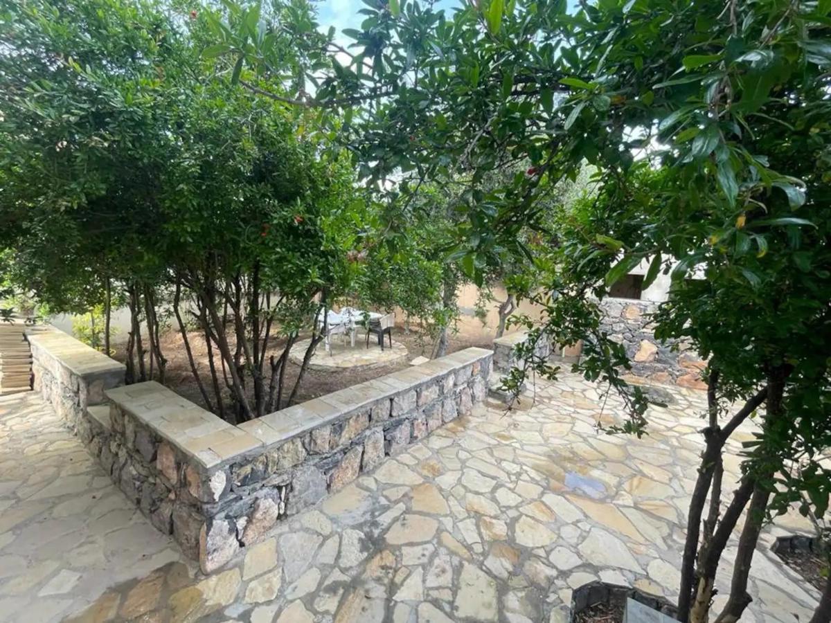 Rose Guesthouse Al 'Aqar Exteriör bild